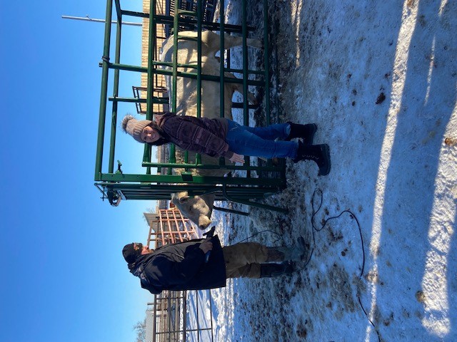 Trent & Shantel Clipping Bulls